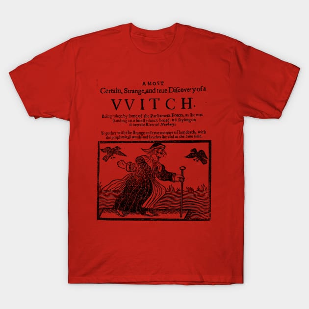 The VVitch / The Witch T-Shirt by darklordpug
